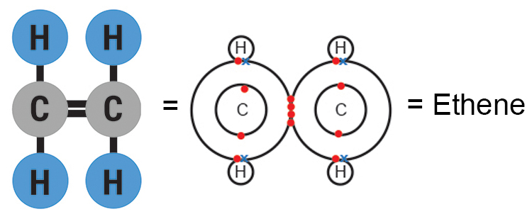 Molecular diagrams of ethene molecule